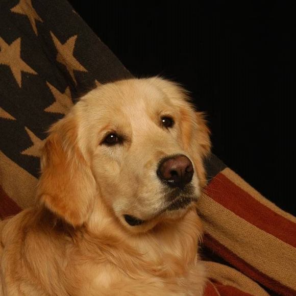 Meet your Posher, Carmen - Picture 1 of 1